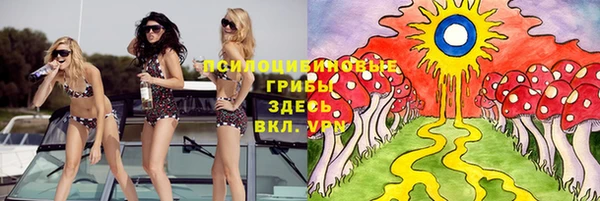бутират Арсеньев
