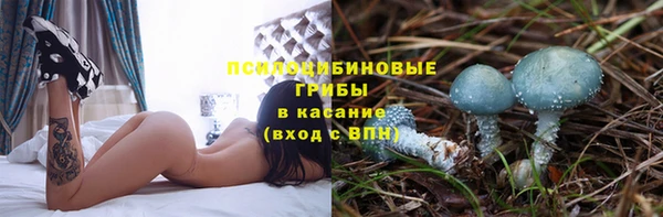 бутират Арсеньев