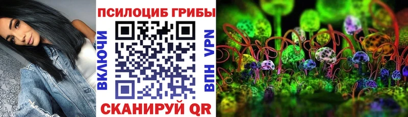 купить цена Нижняя Салда Псилоцибиновые грибы Magic Shrooms